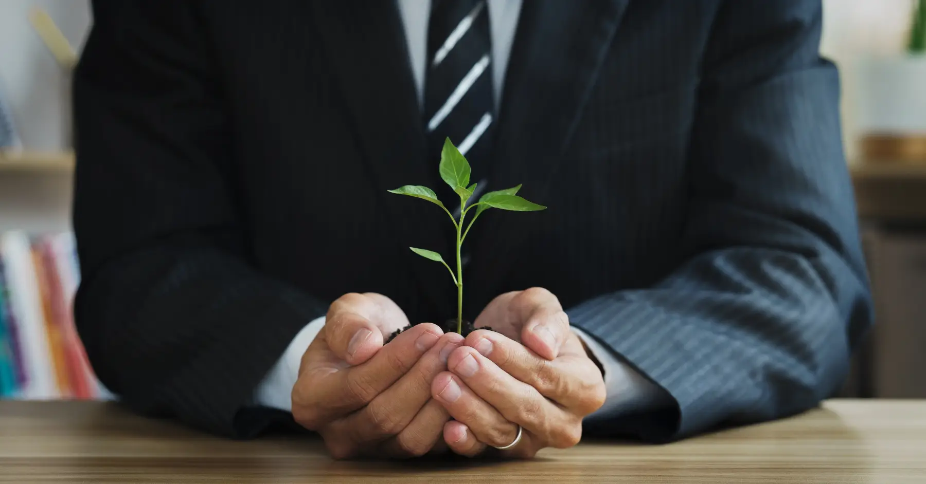 Businessman nurturing a young plant, symbolizing growth and sustainability in startups.