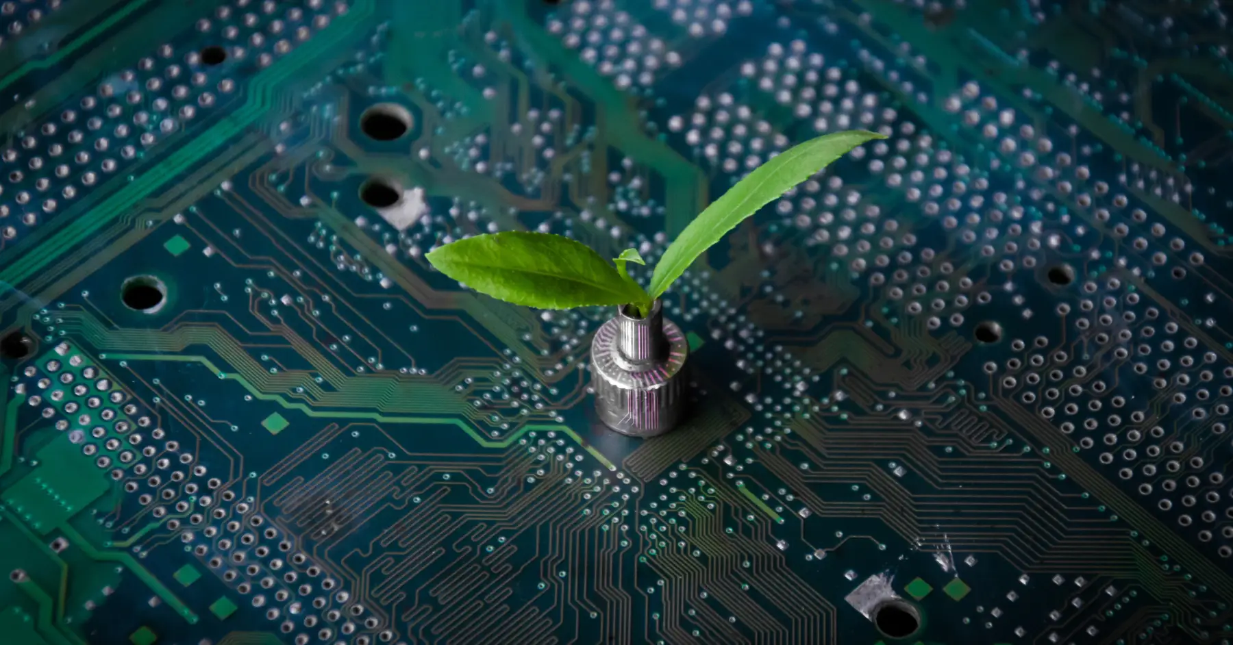 Green plant sprouting from an electronic circuit board, symbolizing eco-friendly technology.